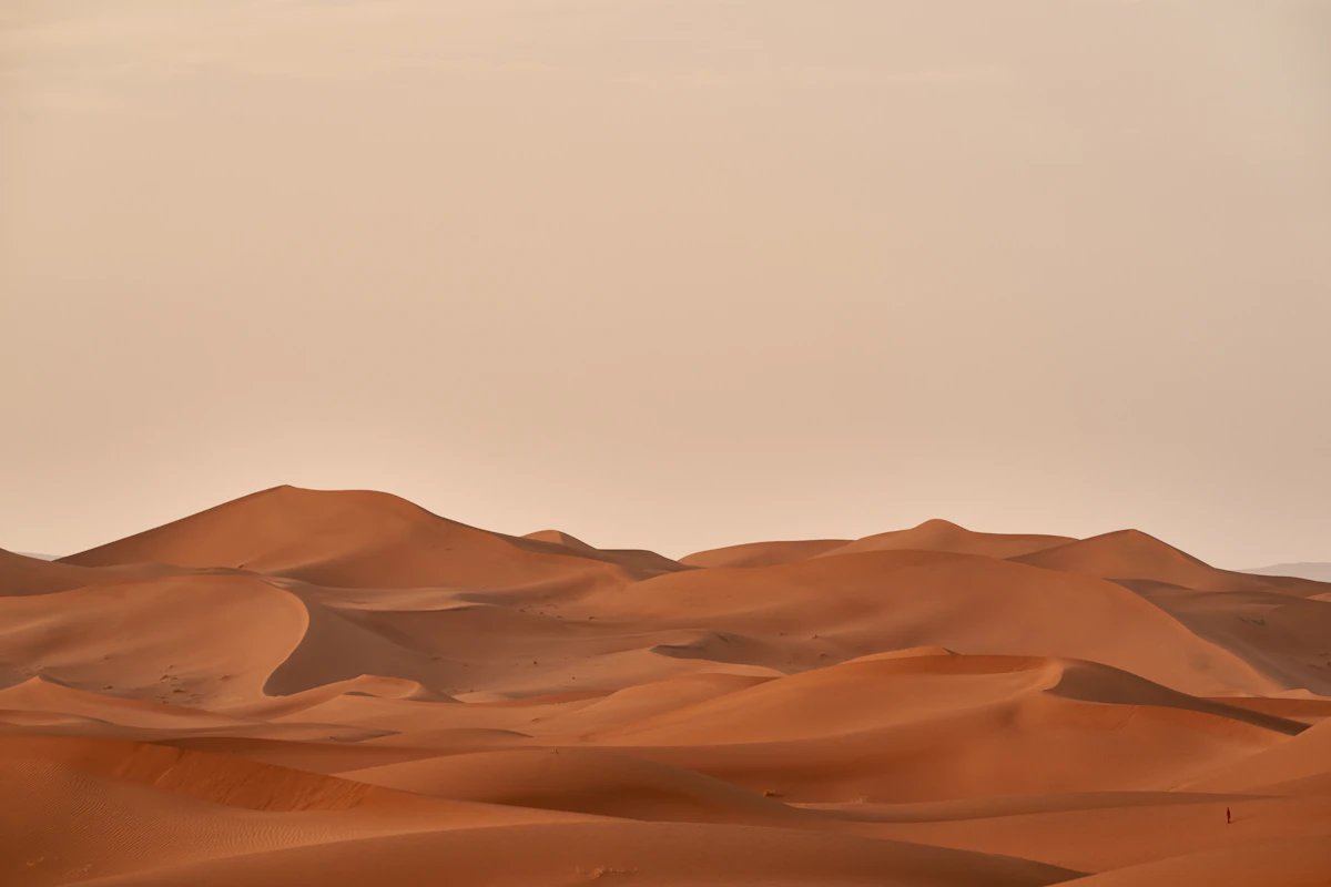 Overnight Royal Bedouin Glamping under Arabian Stars with Private Camp & Gourmet Breakfast